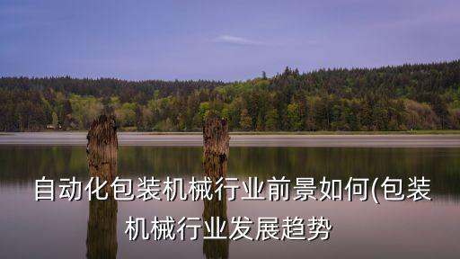 自動化包裝機械行業(yè)前景如何(包裝機械行業(yè)發(fā)展趨勢