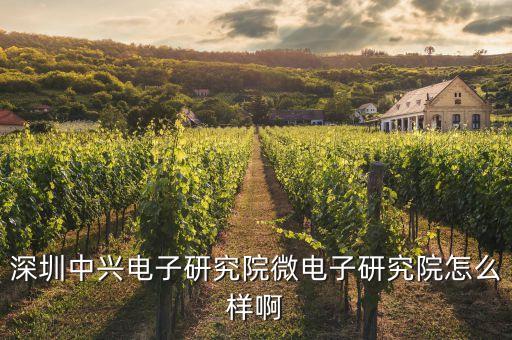 深圳中興電子研究院微電子研究院怎么樣啊