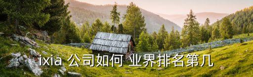 ixia 公司如何 業(yè)界排名第幾