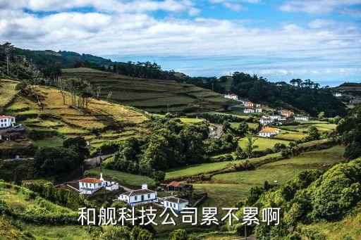 和艦科技公司累不累啊