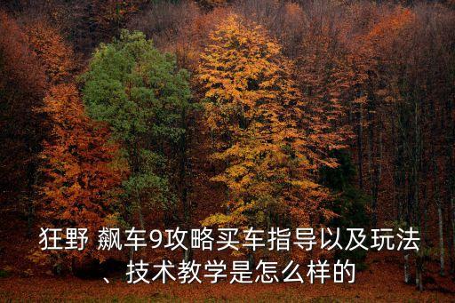  狂野 飆車9攻略買車指導(dǎo)以及玩法、技術(shù)教學(xué)是怎么樣的