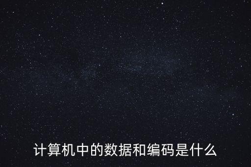 數(shù)據(jù)編碼，計(jì)算機(jī)以什么編碼進(jìn)行數(shù)據(jù)存儲