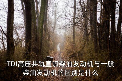 TDI高壓共軌直噴柴油發(fā)動機與一般柴油發(fā)動機的區(qū)別是什么