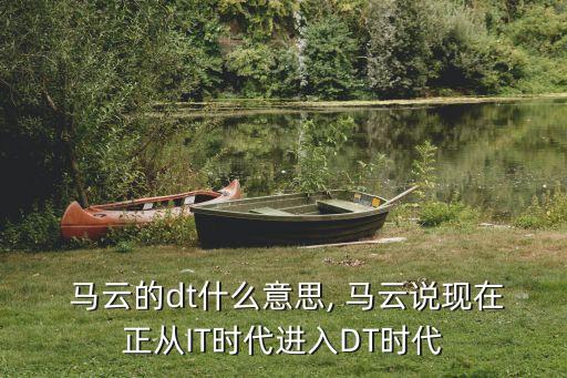  馬云的dt什么意思, 馬云說現(xiàn)在正從IT時代進入DT時代