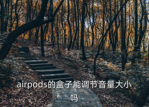 airpods的盒子能調(diào)節(jié)音量大小嗎