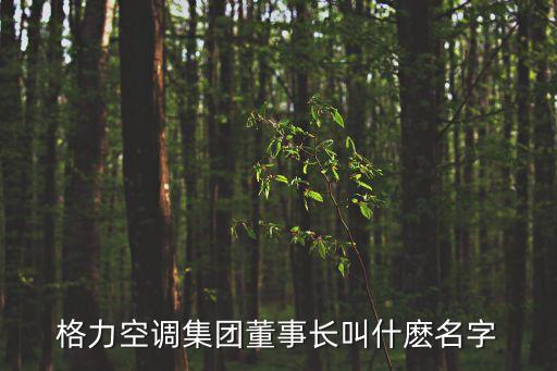格力集團(tuán)董事長(zhǎng)，格力空調(diào)的老總是誰(shuí)