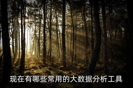 現(xiàn)在有哪些常用的大數(shù)據(jù)分析工具