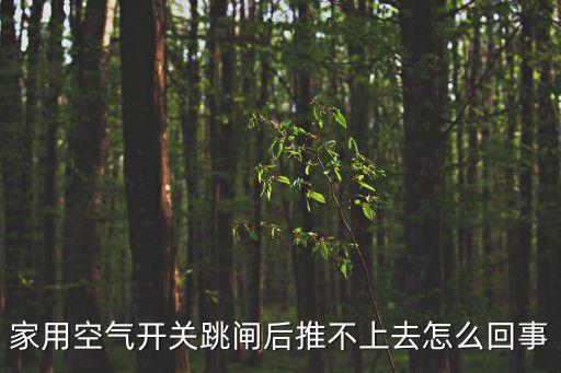 空開跳閘推不上去，空氣開關(guān)跳閘推不上去