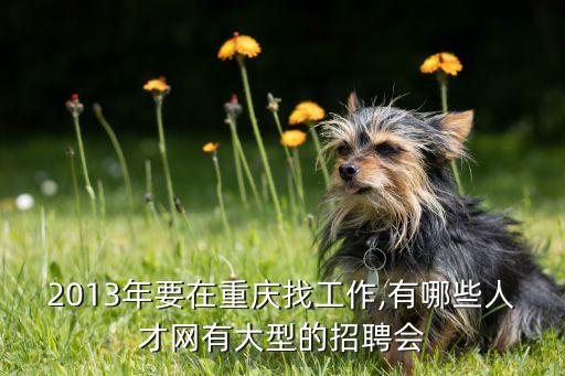 2013年要在重慶找工作,有哪些人才網(wǎng)有大型的招聘會(huì)