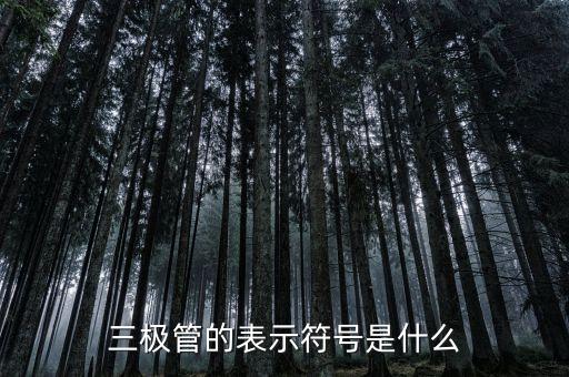 三極管的表示符號(hào)是什么
