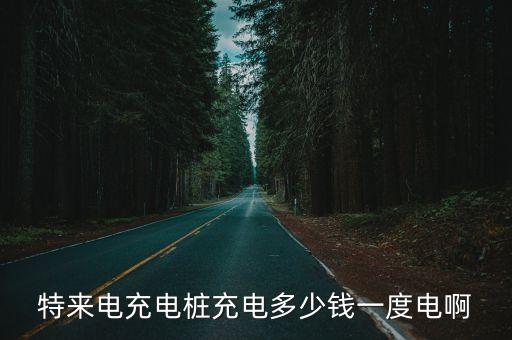 特來電充電樁充電多少錢一度電啊