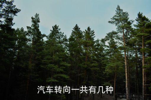 轉(zhuǎn)向系統(tǒng)，汽車轉(zhuǎn)向一共有幾種