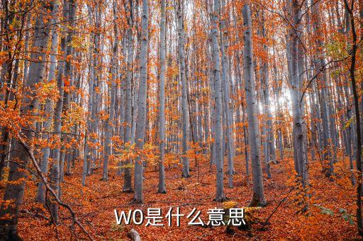 W0是什么意思