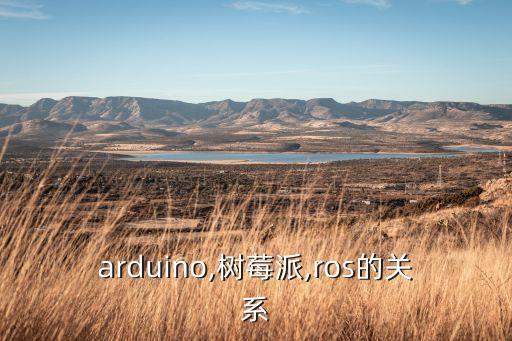 樹莓派制作小機(jī)器人,樹莓派機(jī)器人和ros有哪些不同?
