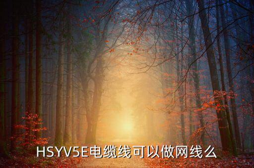HSYV5E電纜線可以做網(wǎng)線么