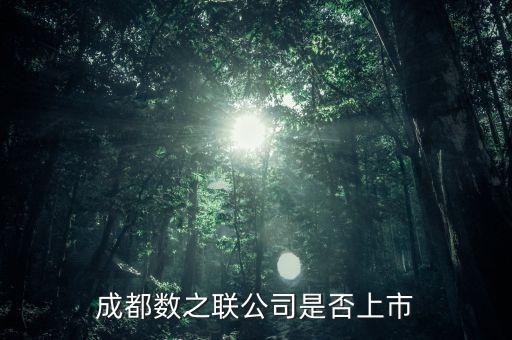 數(shù)之聯(lián)，成都數(shù)之聯(lián)公司是否上市