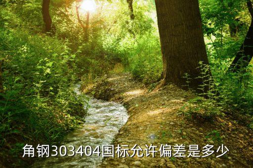 角鋼303404國標(biāo)允許偏差是多少