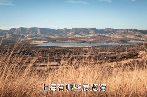 上海會展，上海的展館有哪些