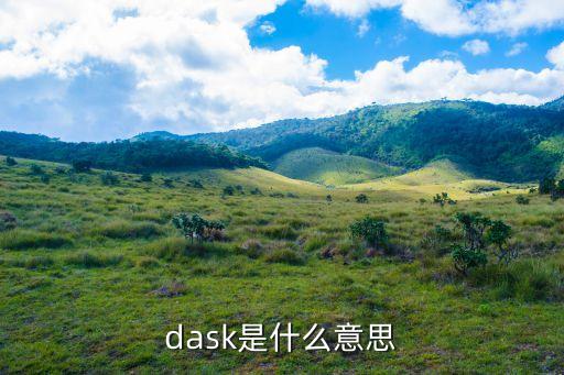 dask，PCISDASK 是什么意思最好說明白點(diǎn)越詳細(xì)約好本人小白一個(gè)