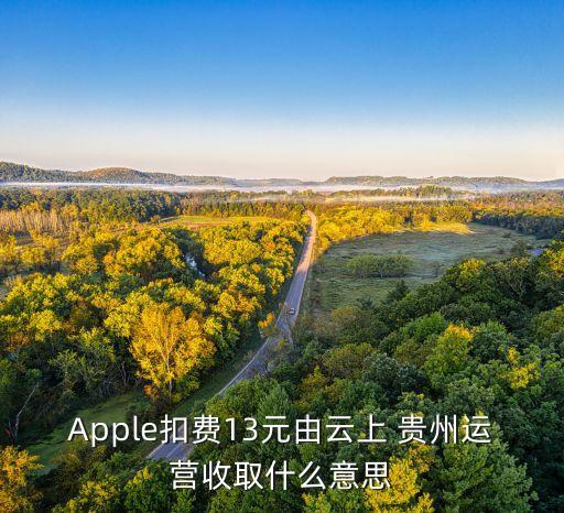 Apple扣費13元由云上 貴州運營收取什么意思