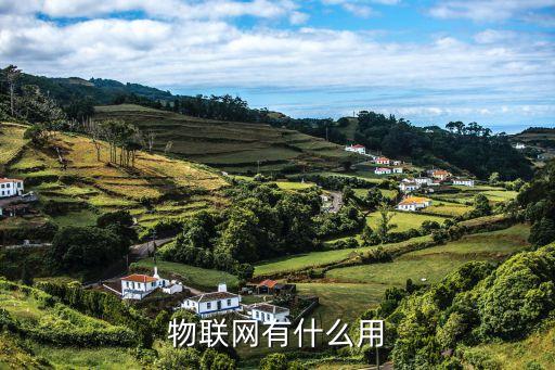 物聯(lián)網(wǎng)有什么用