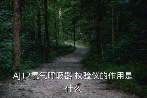AJ12氧氣呼吸器 校驗儀的作用是什么