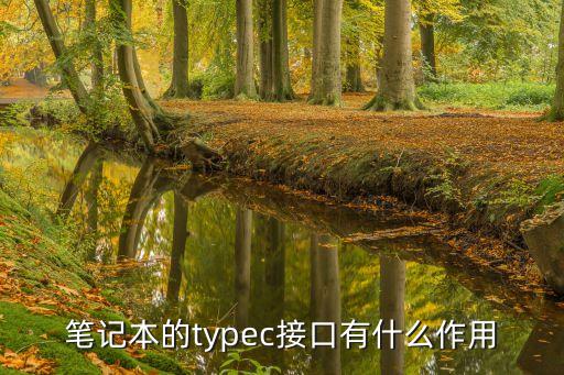 typea接口，什么是USB TypeC接口有什么用