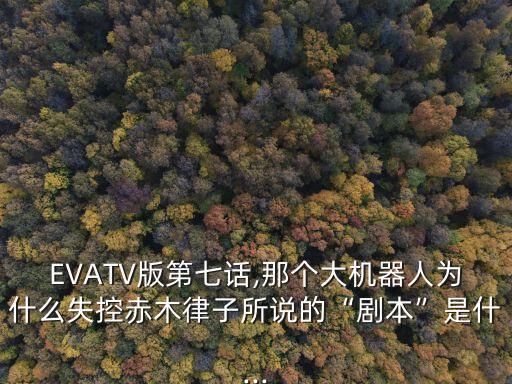 EVATV版第七話,那個大機器人為什么失控赤木律子所說的“劇本”是什...