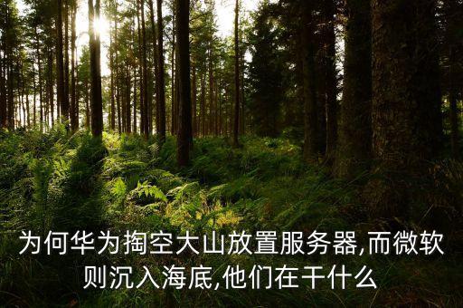 為何華為掏空大山放置服務(wù)器,而微軟則沉入海底,他們?cè)诟墒裁? class=