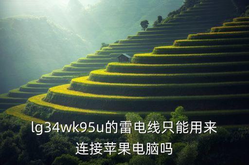 lg34wk95u的雷電線只能用來連接蘋果電腦嗎