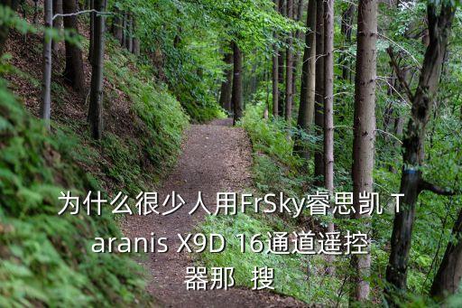 為什么很少人用FrSky睿思凱 Taranis X9D 16通道遙控器那  搜