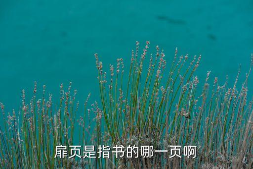 扉頁是指書的哪一頁啊