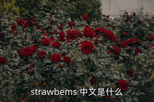 strawbems 中文是什么