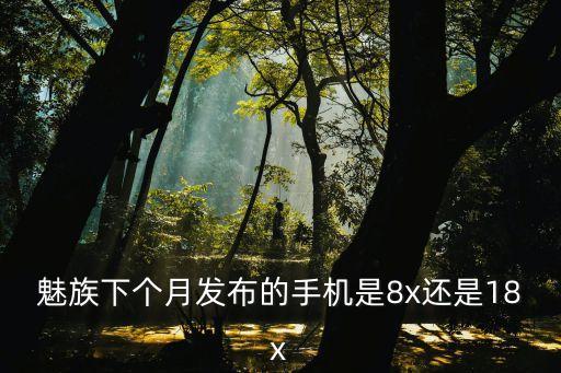 魅族下個月發(fā)布的手機(jī)是8x還是18x