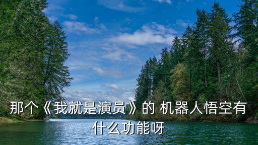 悟空智能機(jī)器人,明發(fā)集團(tuán)明悟空智能機(jī)器人