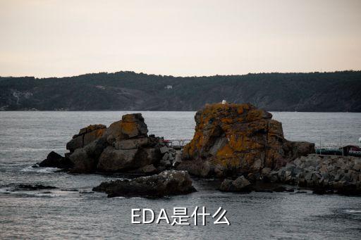 eda，EDA是什么