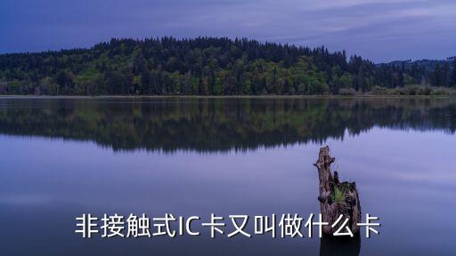 非接觸式IC卡又叫做什么卡