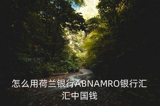 怎么用荷蘭銀行ABNAMRO銀行匯匯中國(guó)錢