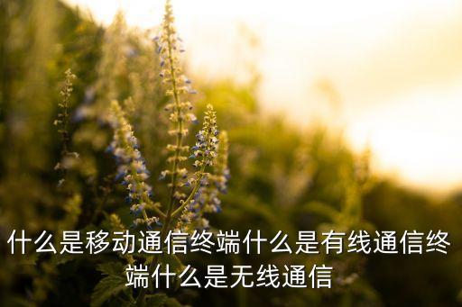移動終端，電信的移動終端是什么