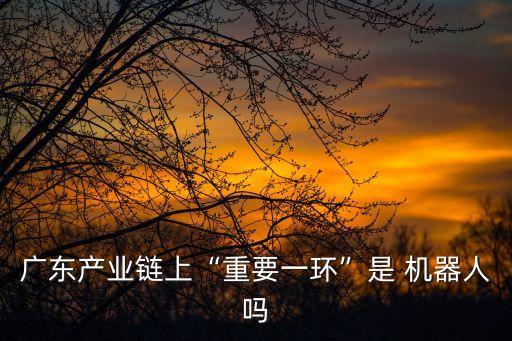廣東產(chǎn)業(yè)鏈上“重要一環(huán)”是 機器人嗎