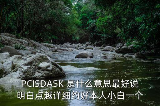 PCISDASK 是什么意思最好說(shuō)明白點(diǎn)越詳細(xì)約好本人小白一個(gè)