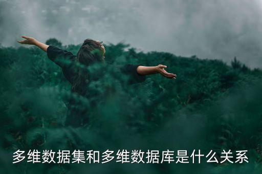 多維數(shù)據(jù)集和多維數(shù)據(jù)庫(kù)是什么關(guān)系