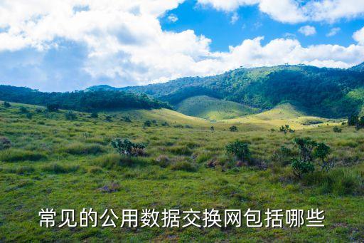 常見的公用數(shù)據(jù)交換網(wǎng)包括哪些