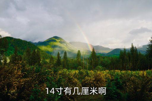 14寸有幾厘米啊