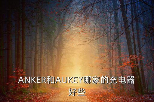 ANKER和AUKEY哪家的充電器好些