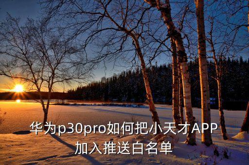 華為p30pro如何把小天才APP加入推送白名單