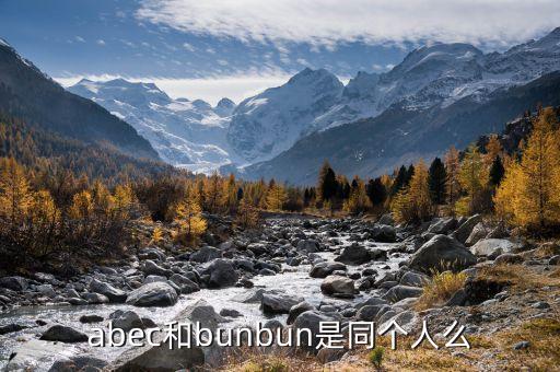 abec，如圖在ABC中ABCACBBAC的平分線交BC與點D 四