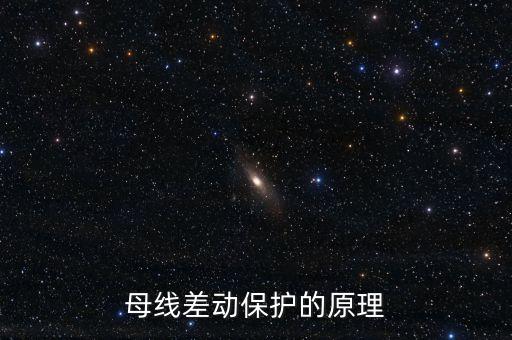 母線保護，母線差動保護的介紹