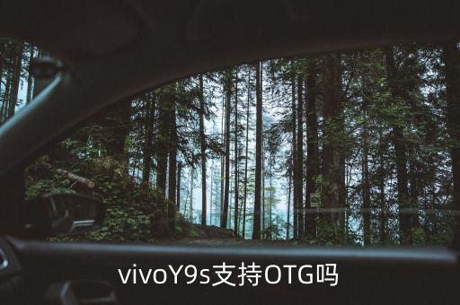 vivoY9s支持OTG嗎