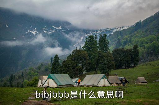 bibibbb是什么意思啊